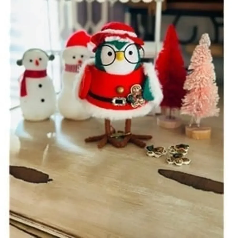 1 Custom Target Wondershop Mrs. Claus Bird and Santa bird